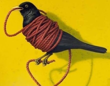 Hypnosis to set you free